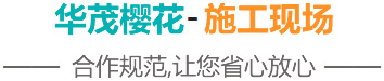 泰安市華貿(mào)櫻花苗木專業(yè)合作社-施工現(xiàn)場
