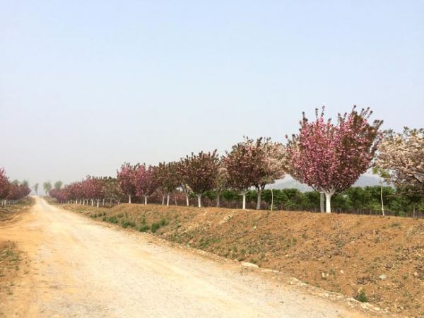基地實(shí)景